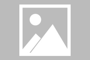 平台服务特点中开云最新入口的表现深度分析
